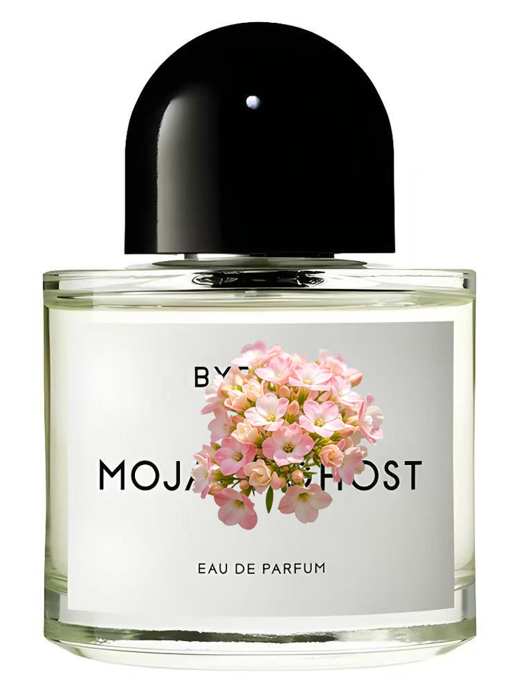 MOJAVE – ESCLUSO – Eau de Parf - Men'S Fashion Perfume recensione e prezzo