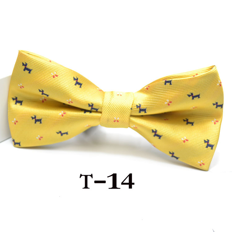 Papillon da Uomo Formale a Poi - Men'S Fashion Over 60 recensione e prezzo